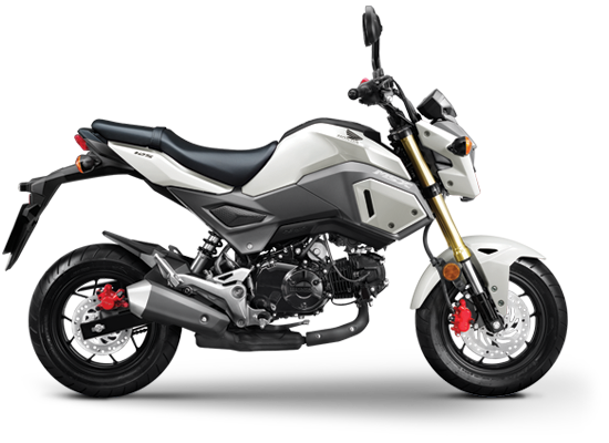 Mẫu Honda MSX màu trắng ghi đen
