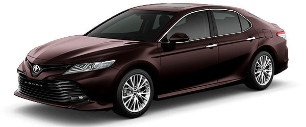 Toyota Camry 2019 m&agrave;u n&acirc;u