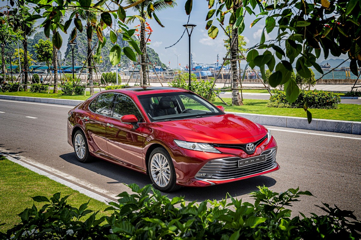 Trong nửa đầu năm 2016, Toyota Việt Nam đ&atilde; giới thiệu những sản phẩm mới gồm thế hệ mới của Toyota Camry (th&aacute;ng 4/2019) v&agrave; phi&ecirc;n bản cải tiến nhẹ của Toyota Fortuner (6/2019)