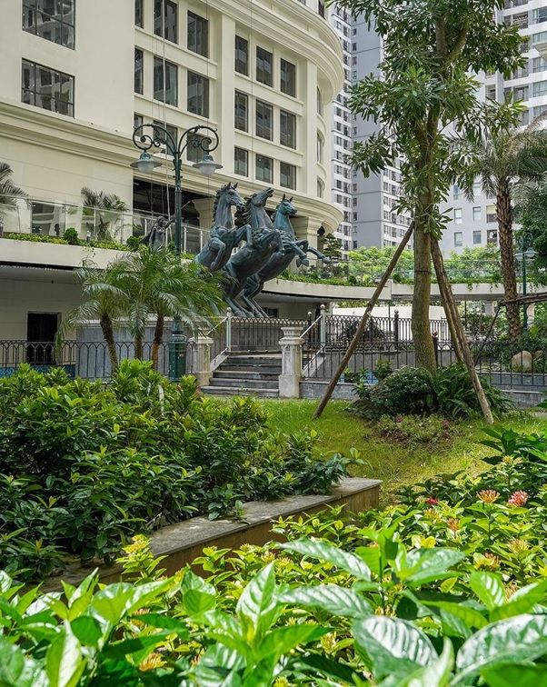 Cây xanh phủ kín lõi trung tâm dự án Sunshine Garden mang đến môi trường sống trong lành Cây xanh dự án Sunshine Garden