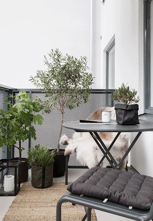 Cây xanh luôn là yếu tố trang trí ban công đắt giá. cây xanh