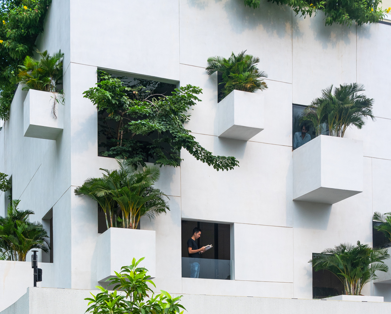 người đàn ông bên ô cửa ngôi nhà màu trắng