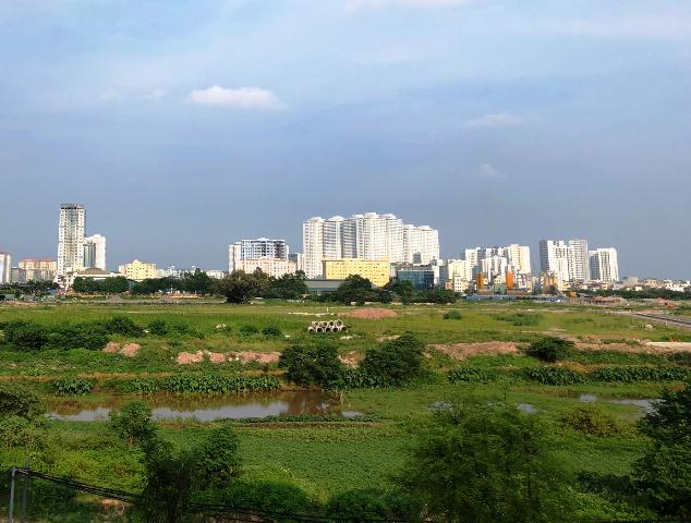 Khu đất trống phủ đầy cây cỏ dại, phía xa có nhiều tòa nhà cao tầng.