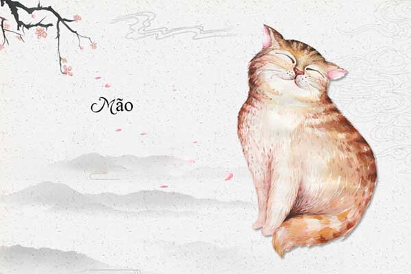 Th&ocirc;ng tin t&ocirc;̉ng quan gia chủ Đinh Mão