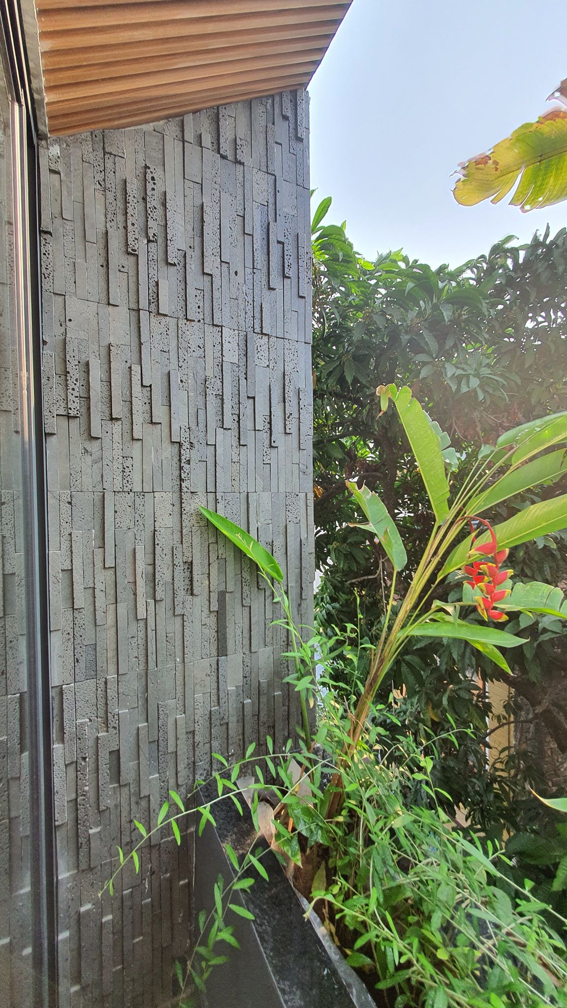 ban c&ocirc;ng trồng c&acirc;y xanh