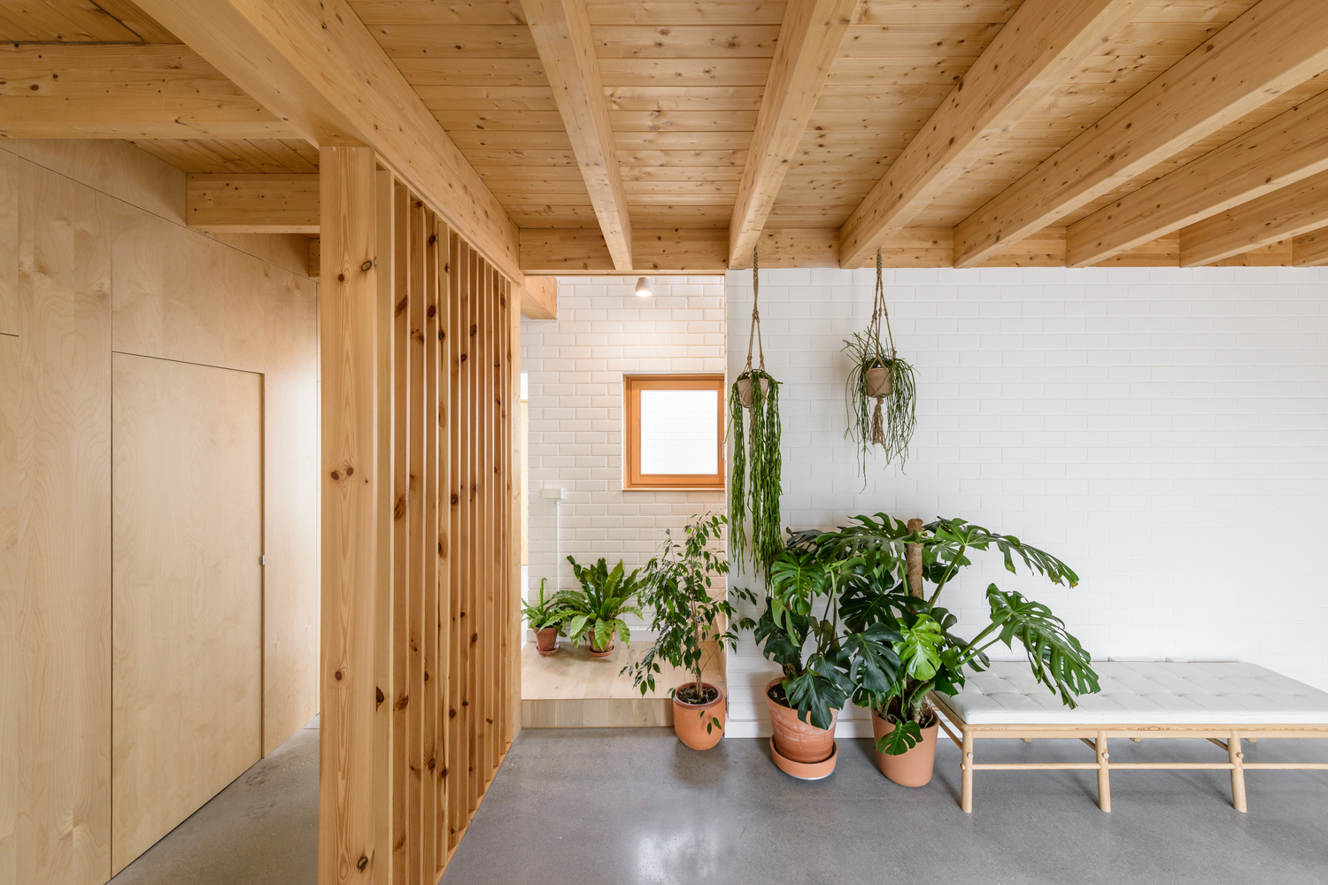 H&igrave;nh ảnh một g&oacute;c ph&ograve;ng l&agrave;m việc với những chậu cảnh xanh mướt