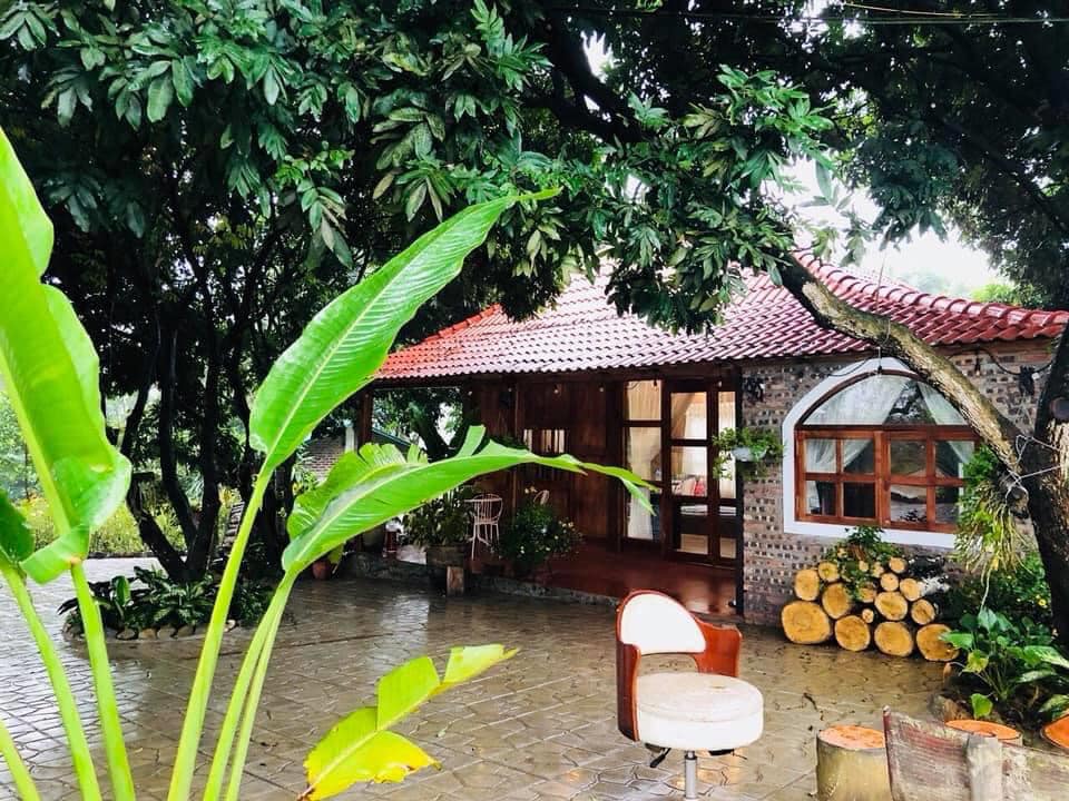 Nhà vườn mái cong, giữa nhiều cây cối, phía trước là sân gạch.