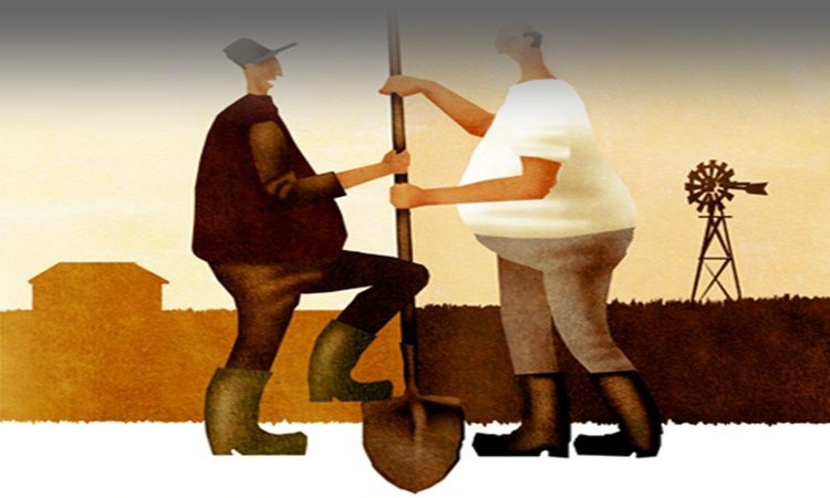 tranh chấp đất 2 người đàn ông tranh nhau 1 cái xẻng, phía dưới là mảnh đất được ngăn cách làm 2 phần