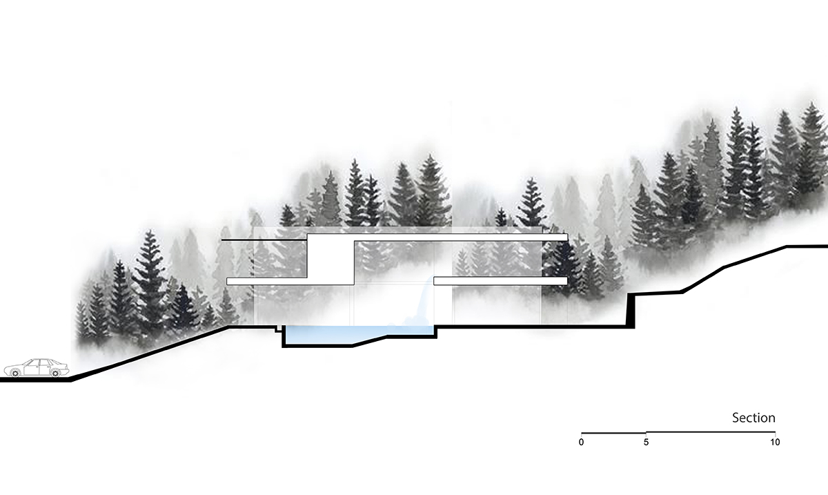 h&igrave;nh ảnh ph&aacute;c thảo phối cảnh biệt thự Tam Đảo