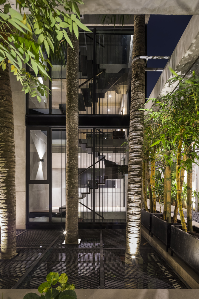 h&igrave;nh ảnh c&acirc;y xanh lớn mọc xuy&ecirc;n giếng trời