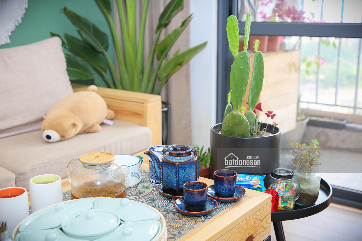 b&agrave;n c&agrave; ph&ecirc;