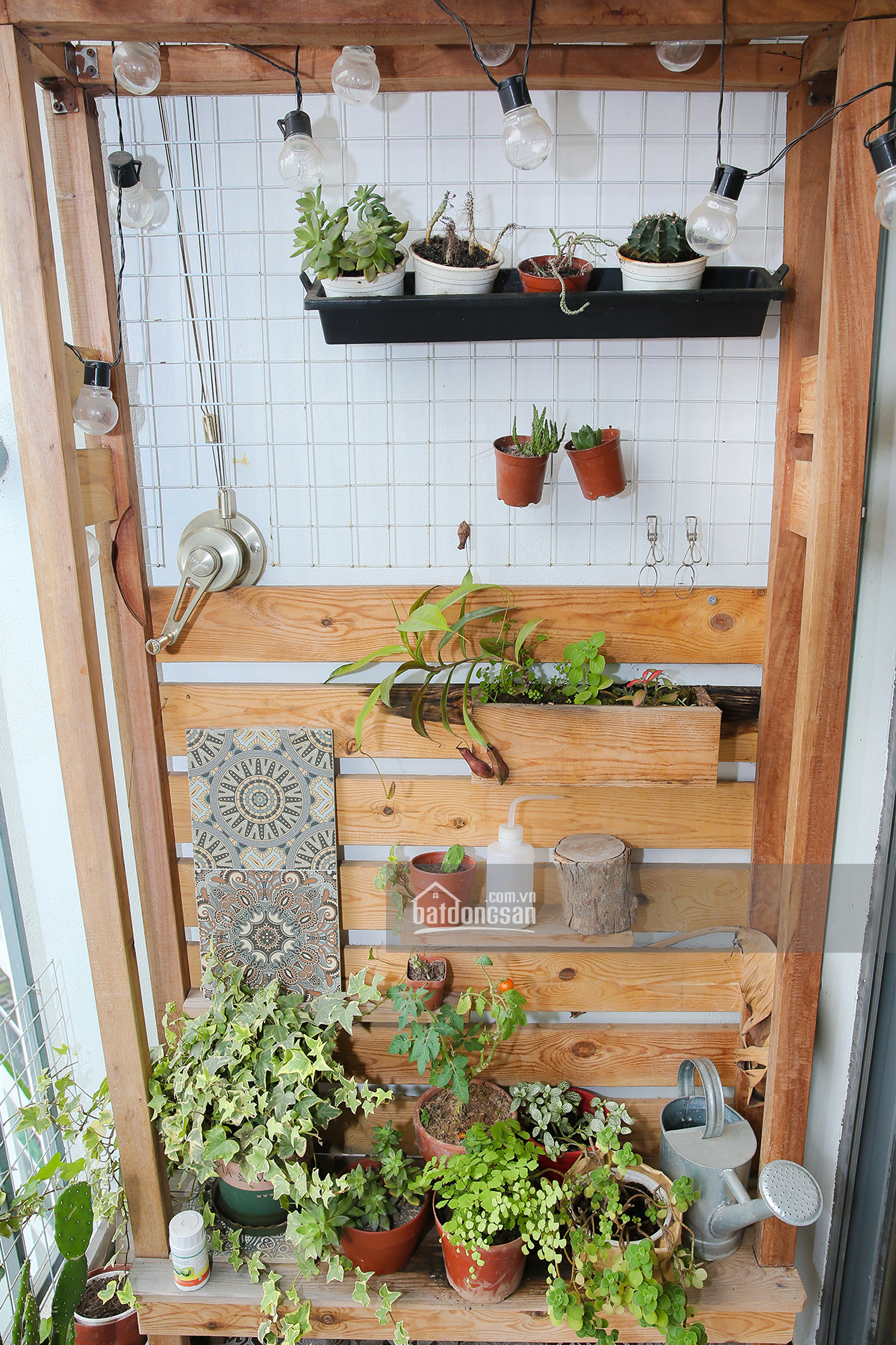 khu vườn nhỏ ở ban c&ocirc;ng