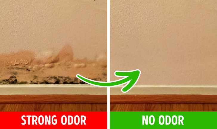 h&igrave;nh ảnh minh họa cho bức tường bị nấm mốc v&agrave; sau khi xử l&yacute;