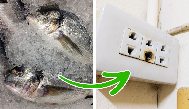 h&igrave;nh ảnh minh họa cho sự cố chập ch&aacute;y ổ điện g&acirc;y ra m&ugrave;i tanh như c&aacute;