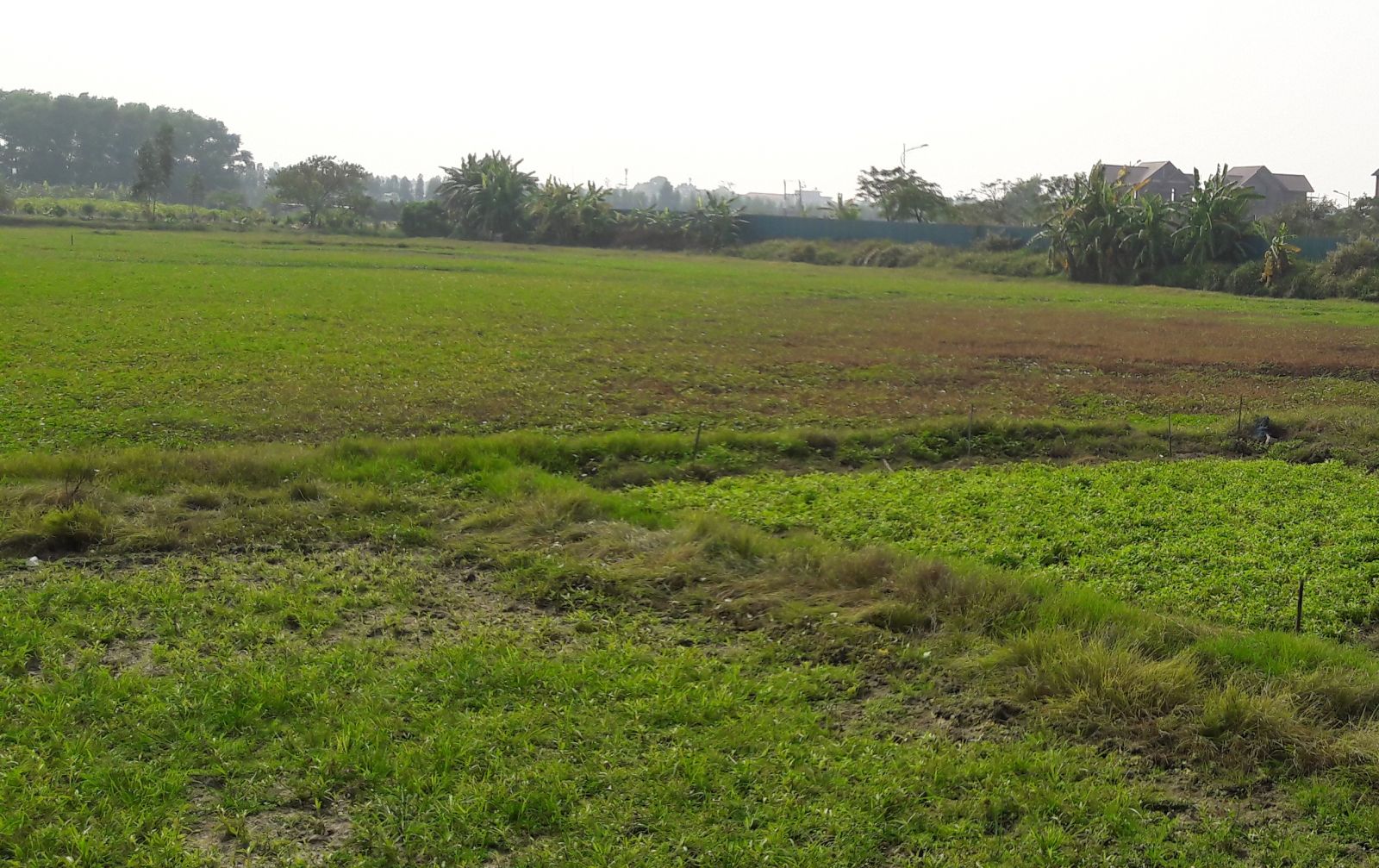 khu đất n&ocirc;ng nghiệp