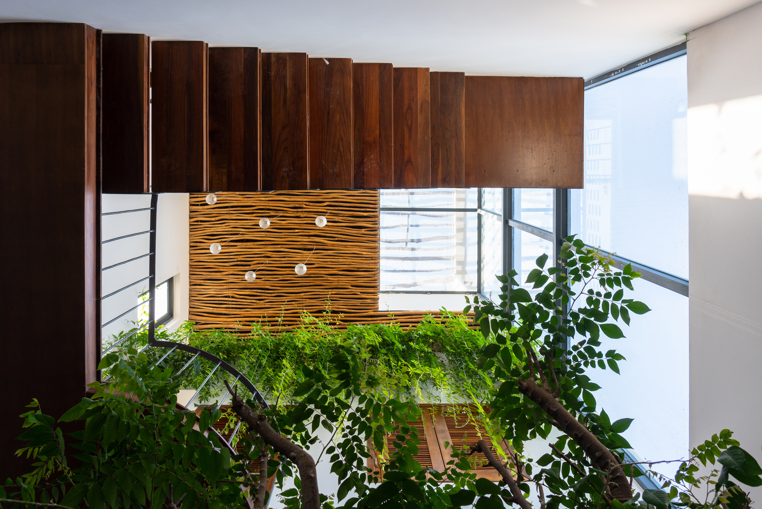 Ảnh chụp cầu thang từ ph&iacute;a dưới, c&acirc;y xanh v&agrave; b&oacute;ng đ&egrave;n trang tr&iacute;