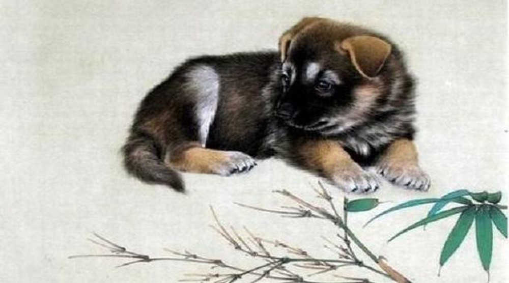 Cách chọn hướng giường ngủ cho tuổi Canh Tuất chuẩn phong thủy nhất