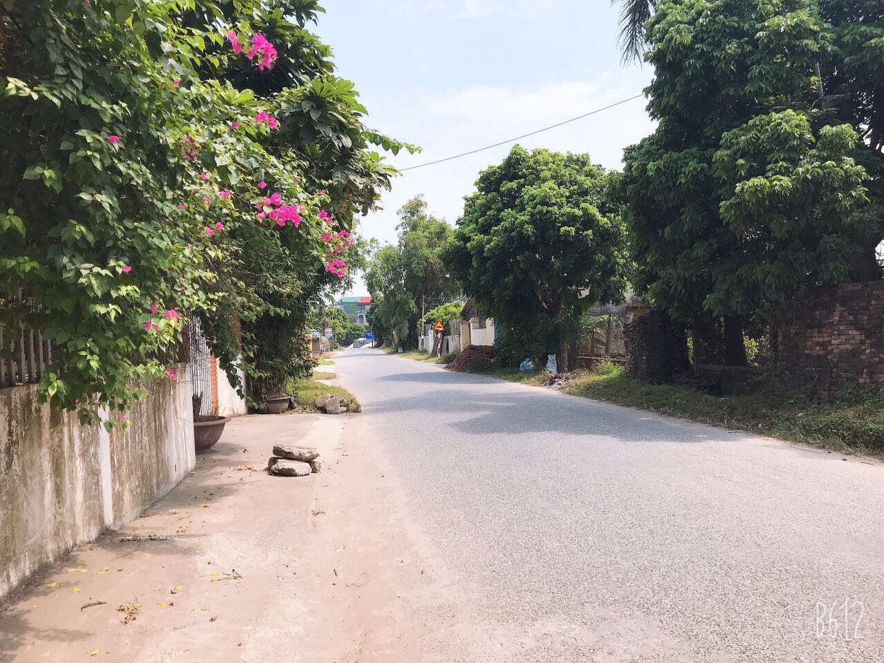 Đường nhiều c&acirc;y cối tại một khu vực c&oacute; dự &aacute;n bất động sản Hưng Y&ecirc;n.