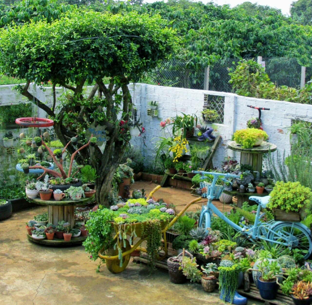 Toàn cảnh khu vườn sen đá kết hợp với những đồ tái chế đầy sáng tạo của chị Huyền. Vườn tiểu cảnh sen đá