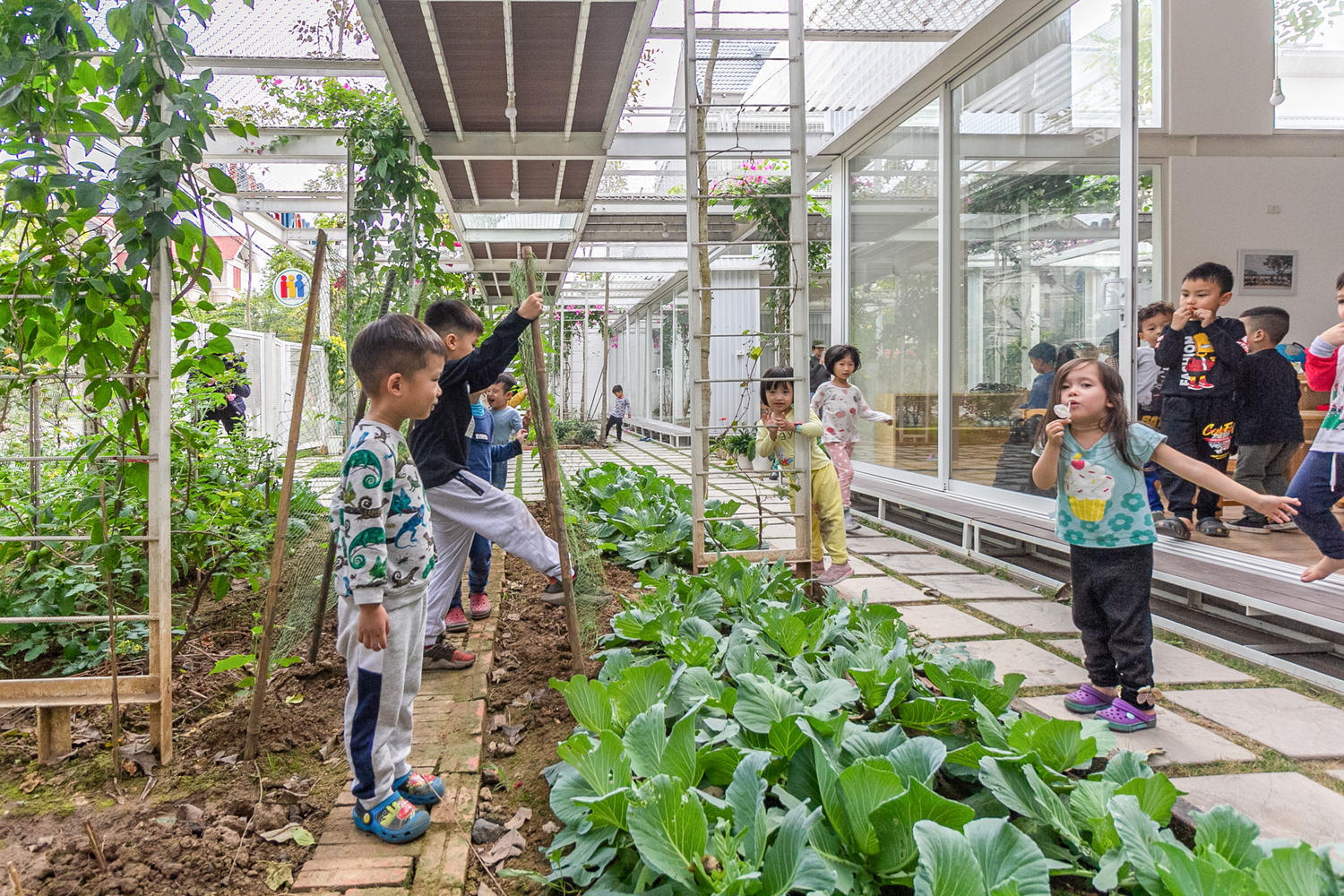 h&igrave;nh ảnh giờ học ngoại kh&oacute;a kh&aacute;m ph&aacute; c&acirc;y hoa, rau củ quả c&aacute;c b&eacute; mầm non