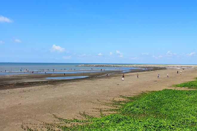 bãi biển có nhiều người