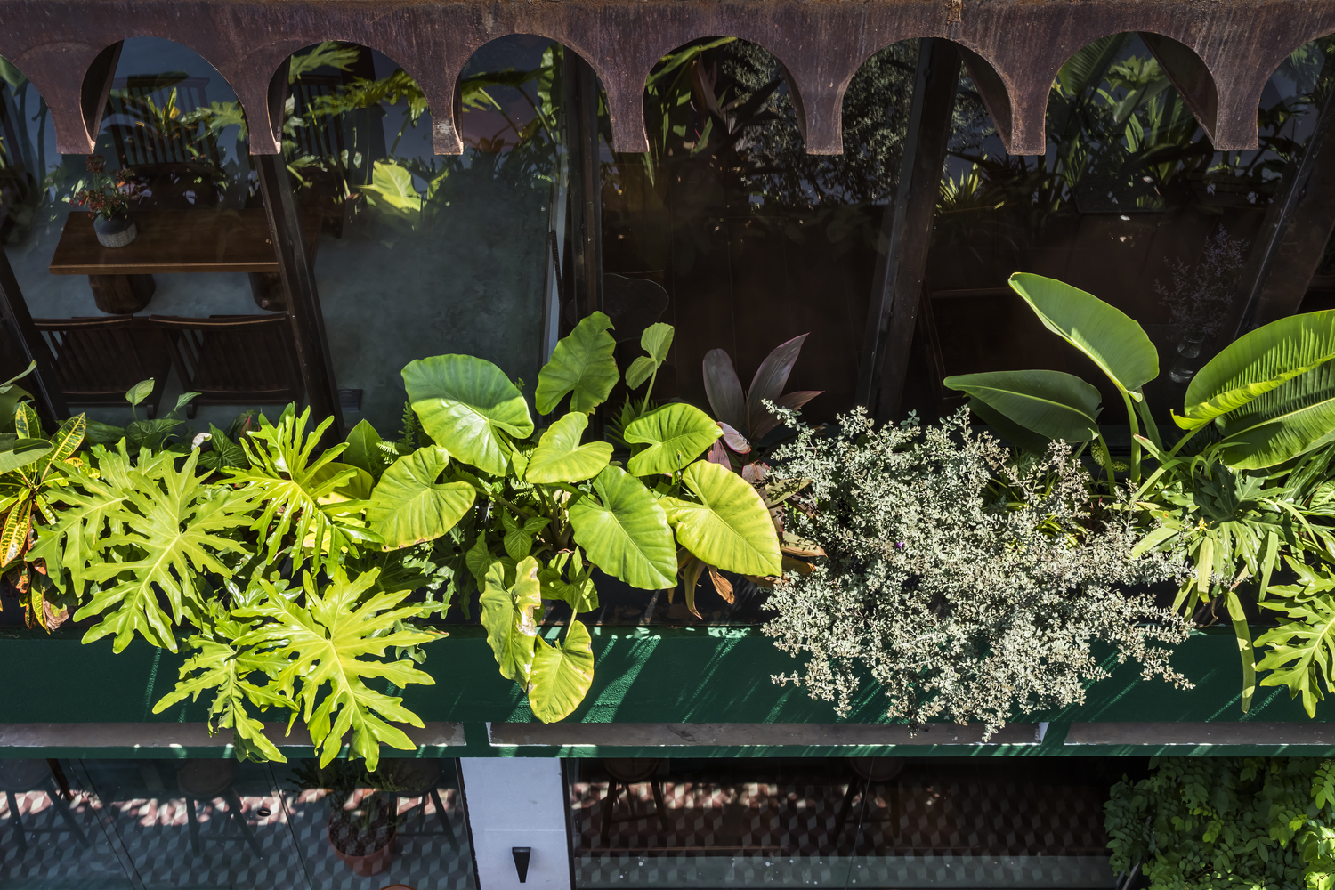 h&igrave;nh ảnh cận cảnh bồn c&acirc;y xanh dịu m&aacute;t trong qu&aacute;n c&agrave; ph&ecirc; c&oacute; thiết kế độc đ&aacute;o