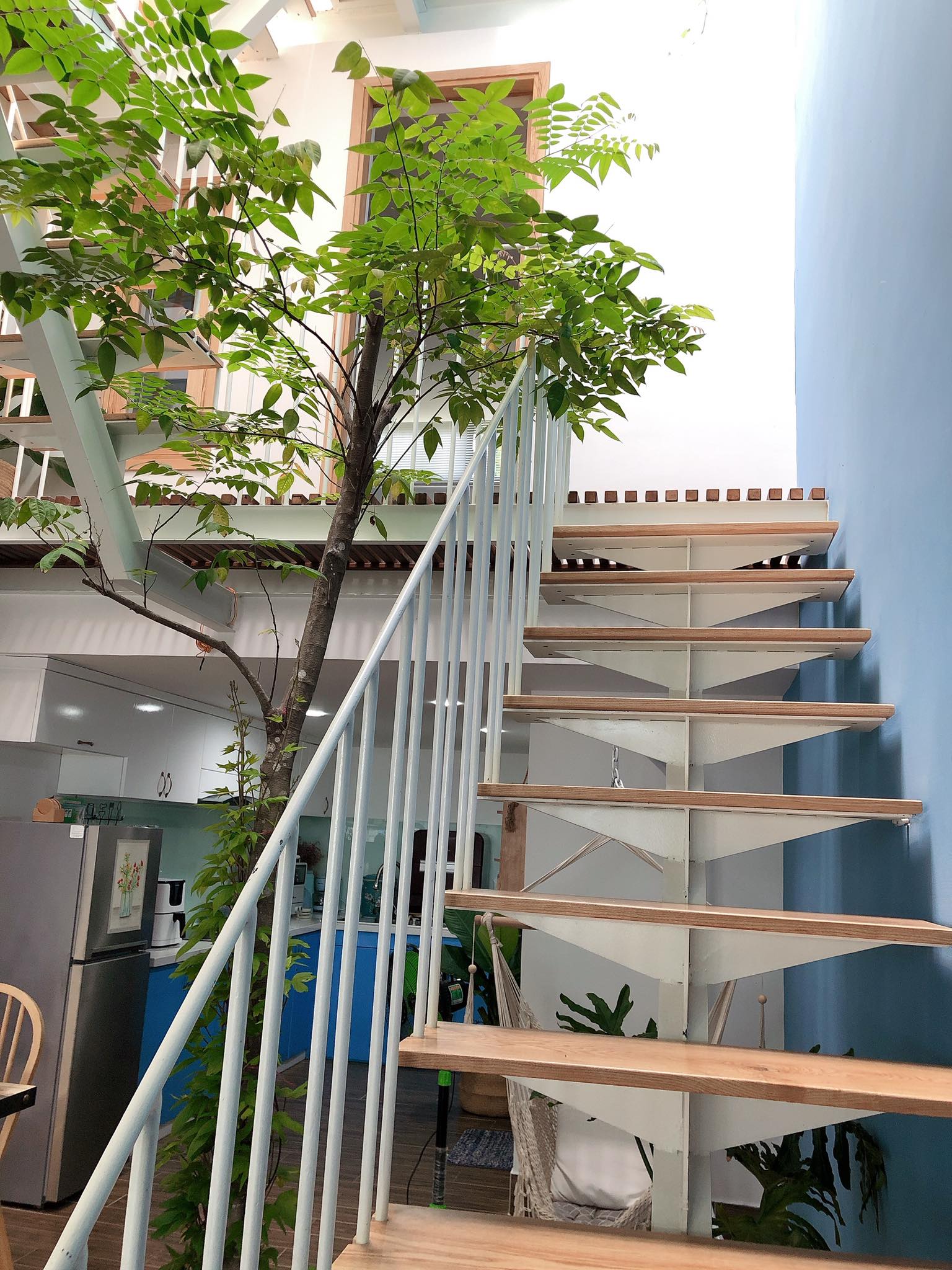 Cầu thang, giếng trời và cây xanh