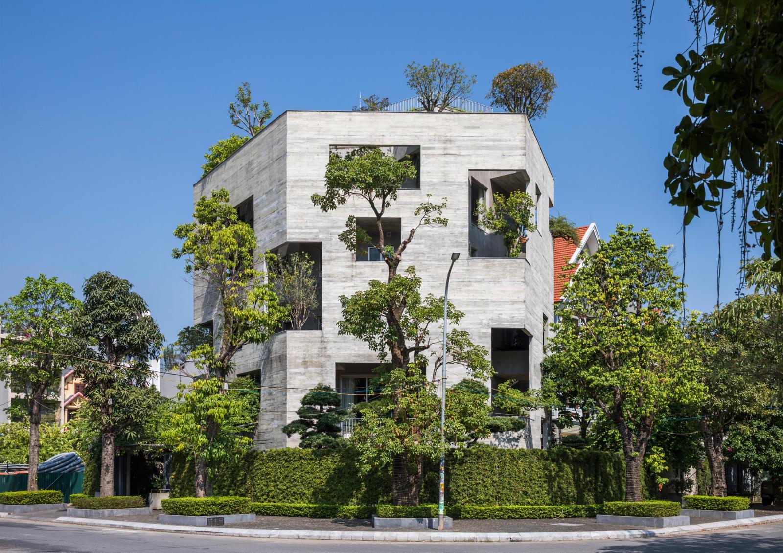 Biệt thư bê tông và cây xanh ở Hạ Long