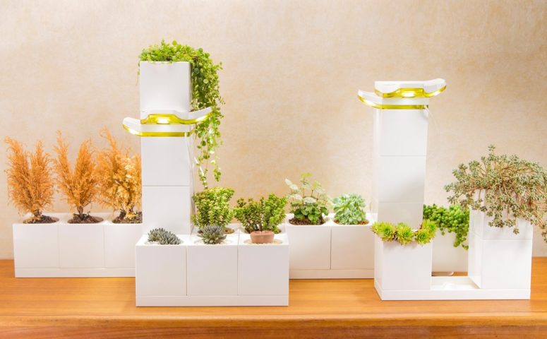 h&igrave;nh ảnh mẫu chậu trồng c&acirc;y m&ocirc; đun d&agrave;nh cho nh&agrave; phố