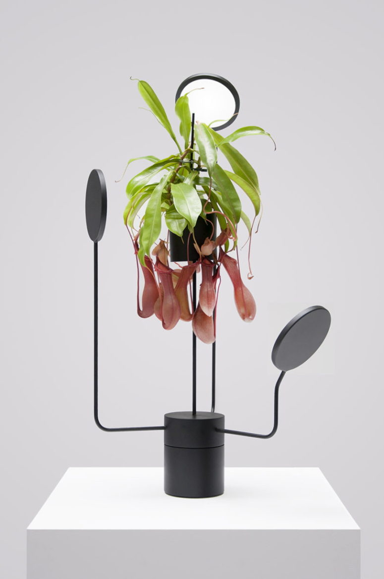 mẫu thiết kế chậu trồng c&acirc;y độc đ&aacute;o