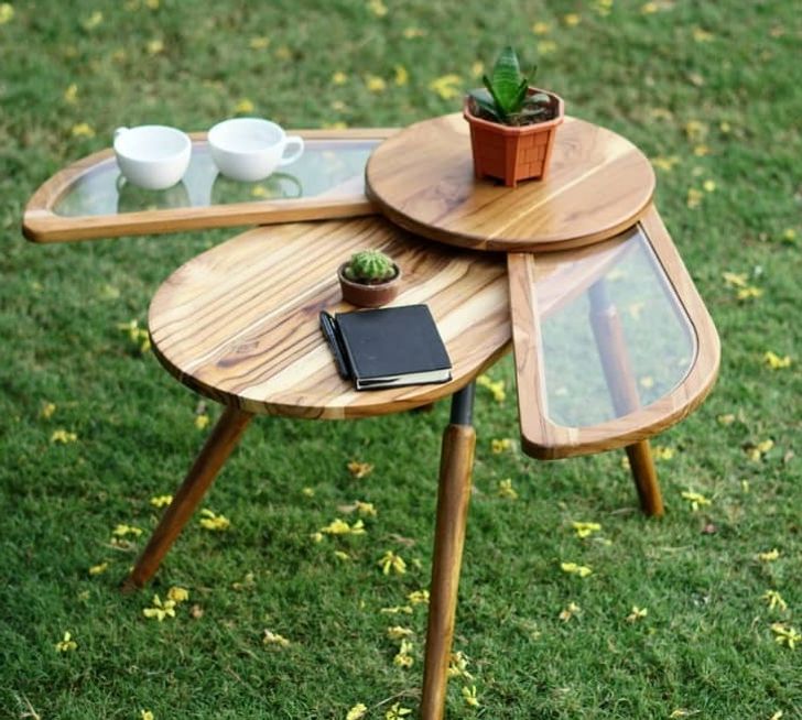 h&igrave;nh ảnh b&agrave;n tr&agrave; h&igrave;nh bọ c&aacute;nh cứng dang c&aacute;nh đặt ở s&acirc;n vườn