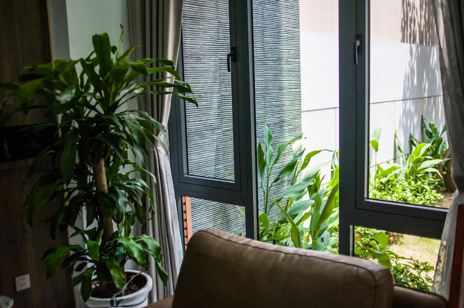 Từ trong nhà nhìn ra khu vườn