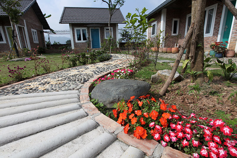 Hoa cỏ khoe sắc dọc theo lối đi