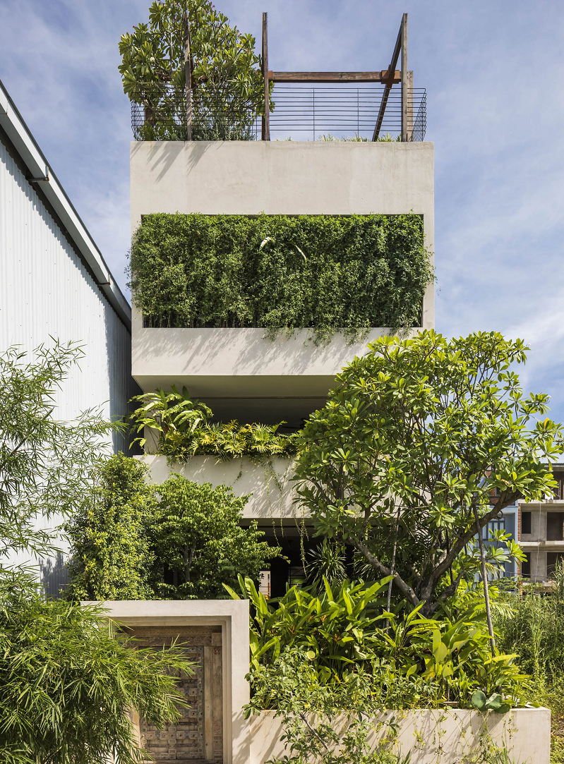 Ng&ocirc;i nh&agrave; ống c&oacute; thiết kế tối giản với c&acirc;y xanh ngập tr&agrave;n kh&ocirc;ng gian sống.