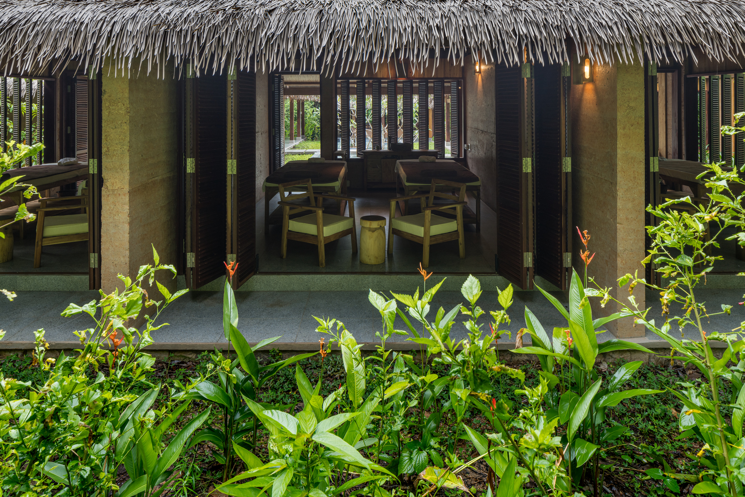 cận cảnh c&acirc;y trồng trong khu nghỉ dưỡng