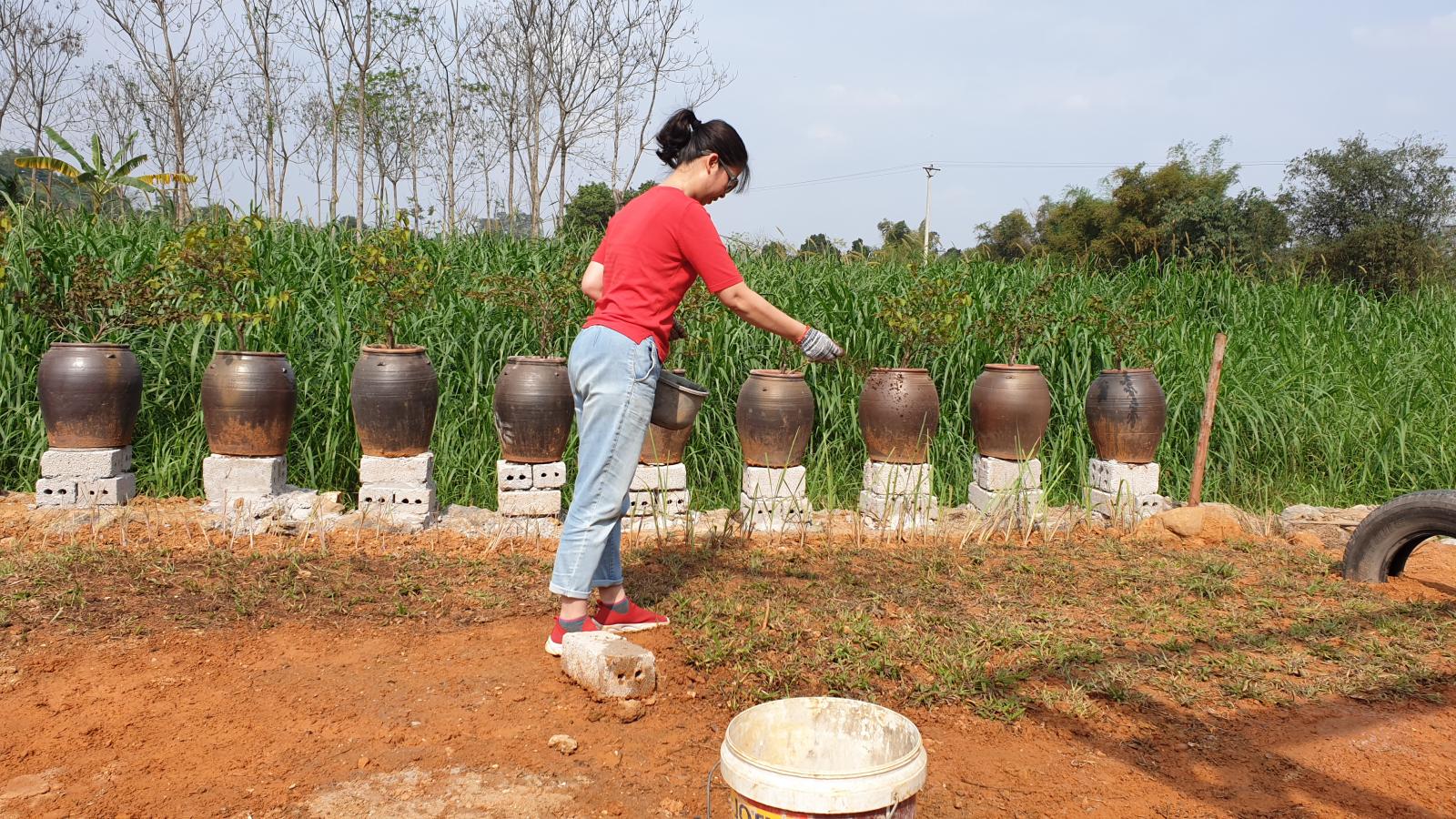 Nữ chủ nh&acirc;n trồng cỏ để tạo khu&ocirc;n vi&ecirc;n xanh