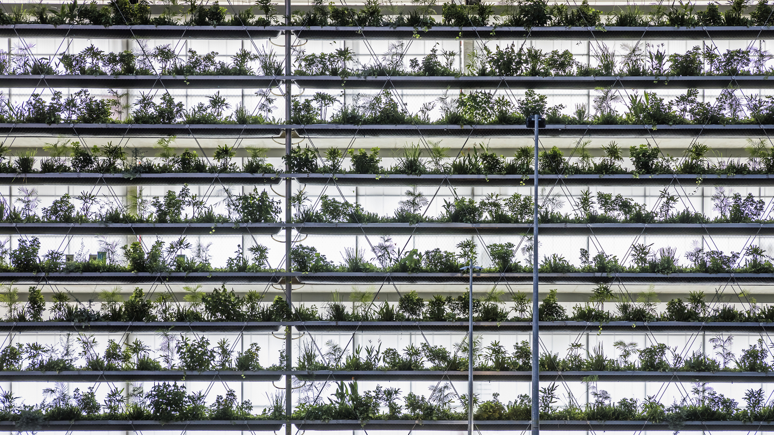 cận cảnh hệ thống gi&agrave;n trồng c&acirc;y xanh, c&acirc;y bụi nhỏ