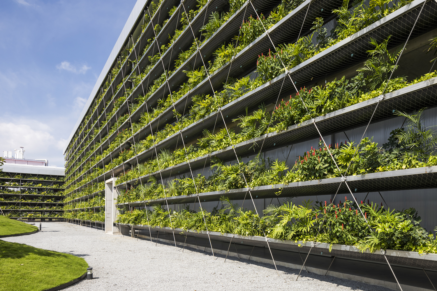 cận cảnh tường c&acirc;y xanh b&ecirc;n trong nh&agrave; m&aacute;y Jakob