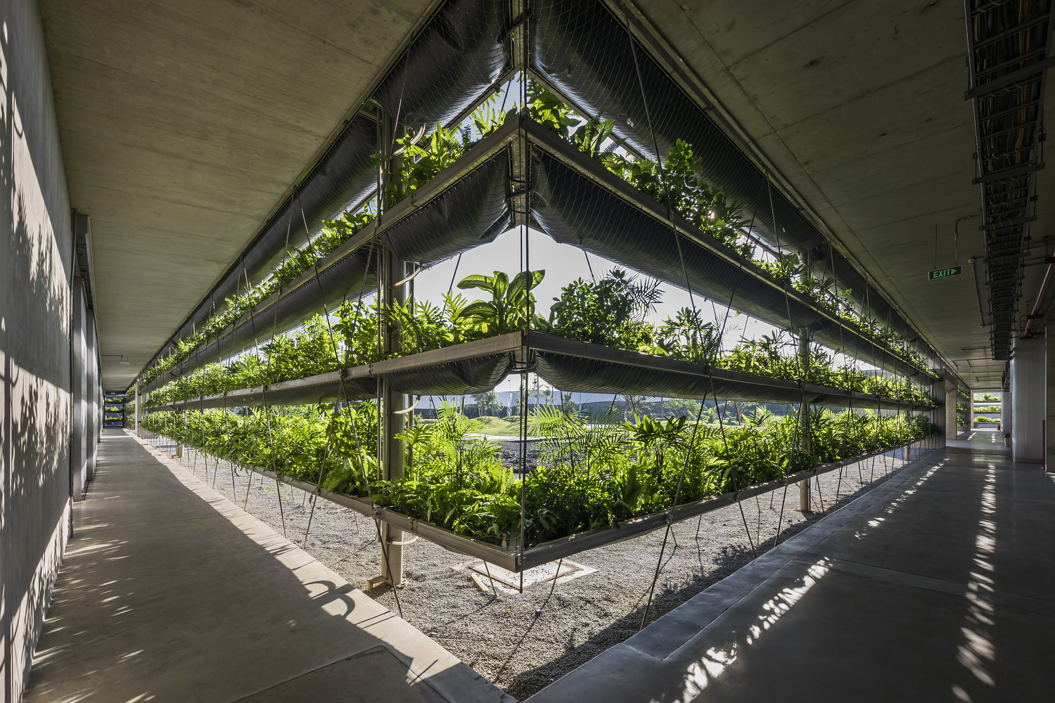 cận cảnh c&aacute;c tầng trồng c&acirc;y xanh