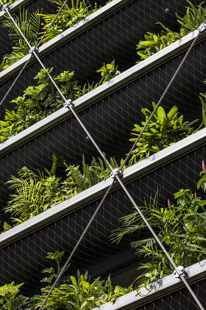 h&igrave;nh ảnh cận cảnh lớp tường trồng c&acirc;y xanh bao phủ mặt tiền nh&agrave; m&aacute;y