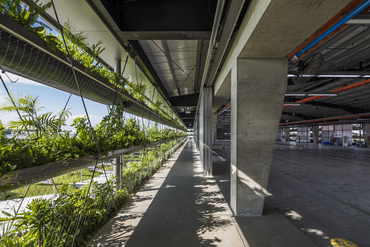 lớp tường c&acirc;y xanh gi&uacute;p thanh lọc kh&ocirc;ng kh&iacute; nh&agrave; m&aacute;y