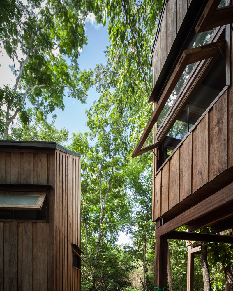 h&igrave;nh ảnh cận cảnh mặt b&ecirc;n ng&ocirc;i nh&agrave; gỗ giữa rừng c&acirc;y