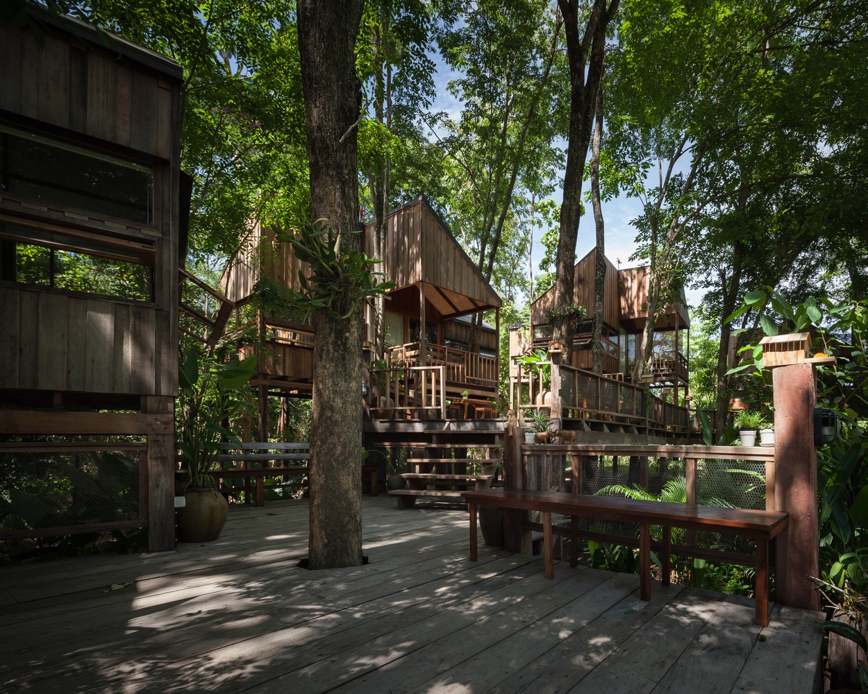 quần thể nh&agrave; c&acirc;y bằng gỗ tương phản với sắc xanh thi&ecirc;n nhi&ecirc;n