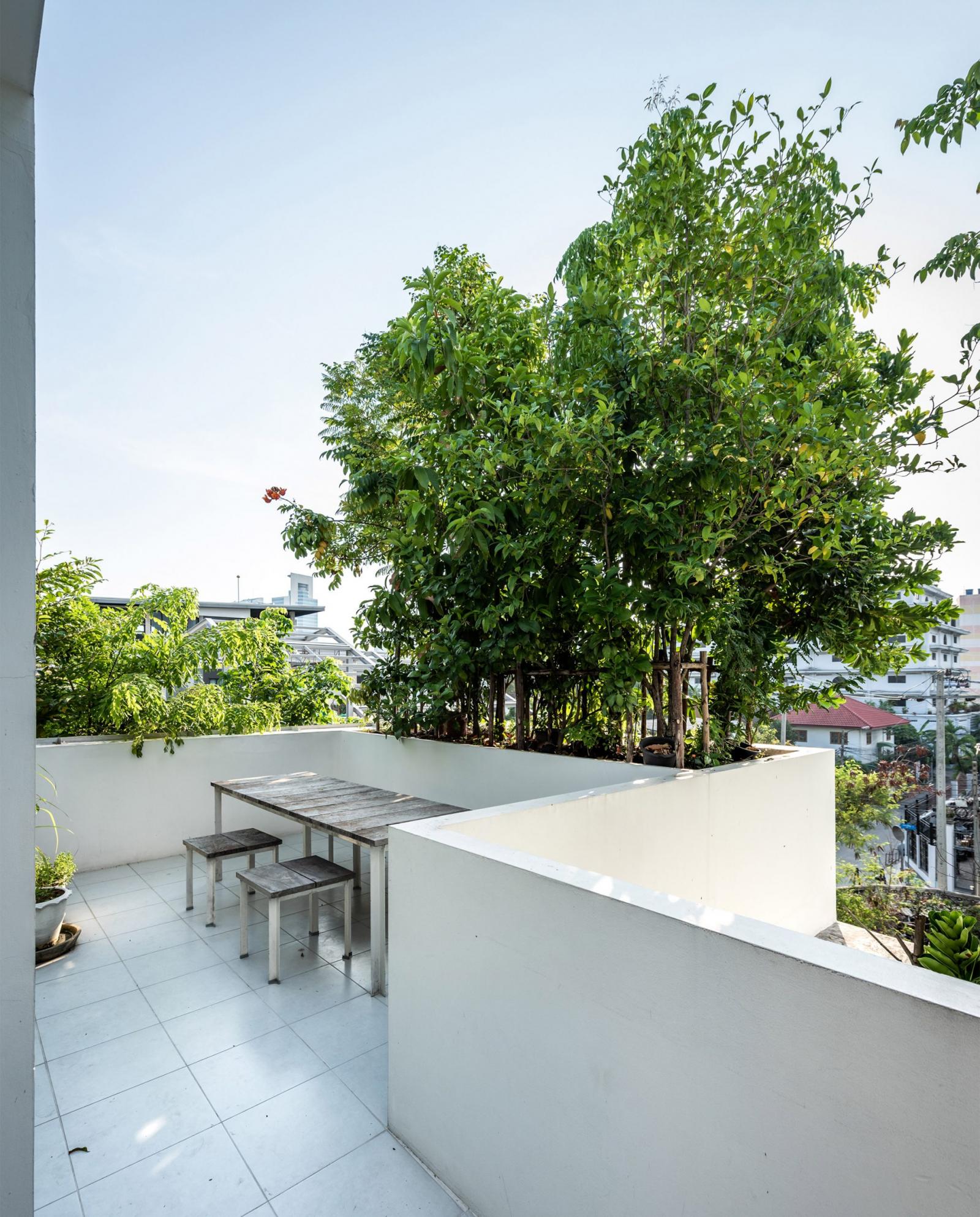 góc thư giãn ngập tràn nắng gió, cây xanh trên sân thượng