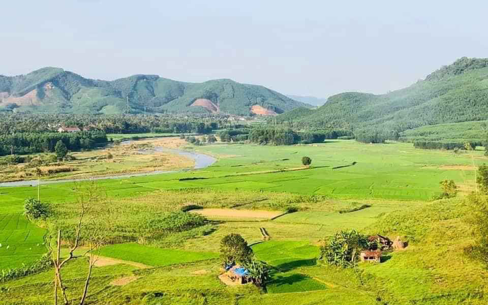 hình ảnh khu đất nông nghiệp nhìn từ trên cao với cánh đồng lúa chính vàng, xung quanh là núi non trùng điệp