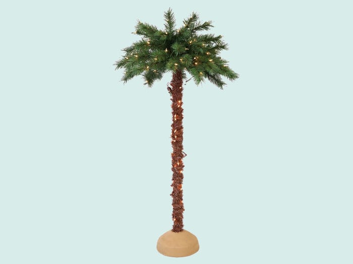 Cây cọ trang trí Noel