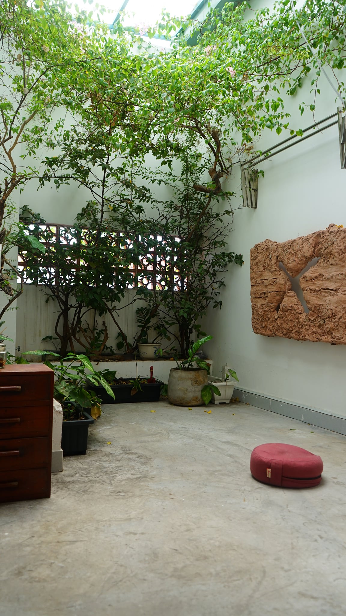 Vườn c&acirc;y xanh cũng l&agrave; g&oacute;c thiền tr&ecirc;n s&acirc;n thượng
