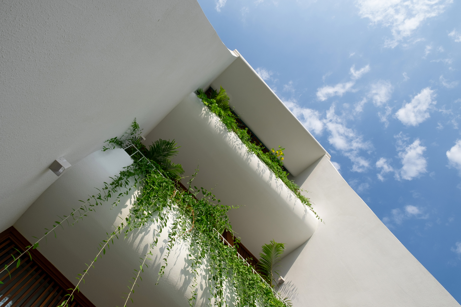 h&igrave;nh ảnh cận cảnh mặt tiền ng&ocirc;i nh&agrave; ống với tường m&agrave;u trắng, c&acirc;y d&acirc;y leo xanh m&aacute;t