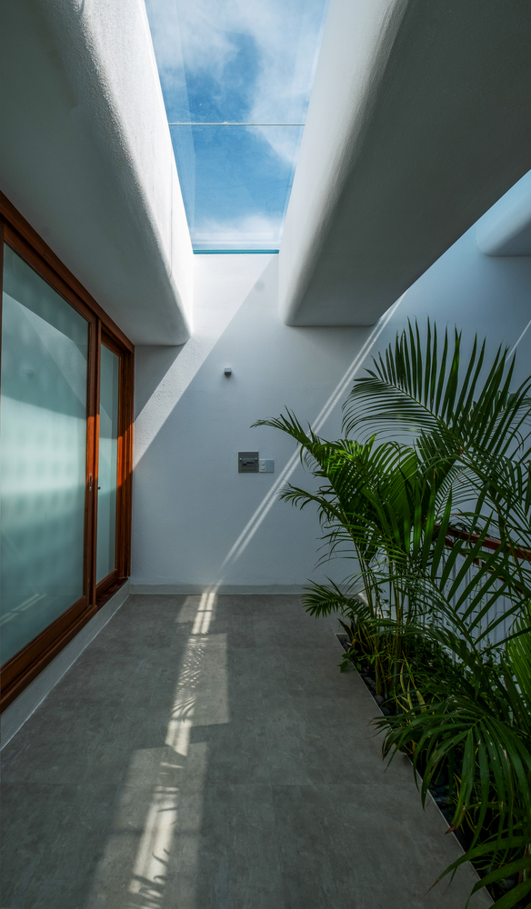 M&aacute;i k&iacute;nh giếng trời lấy s&aacute;ng tự nhi&ecirc;n cho to&agrave;n bộ kh&ocirc;ng gian b&ecirc;n trong nh&agrave; ống.