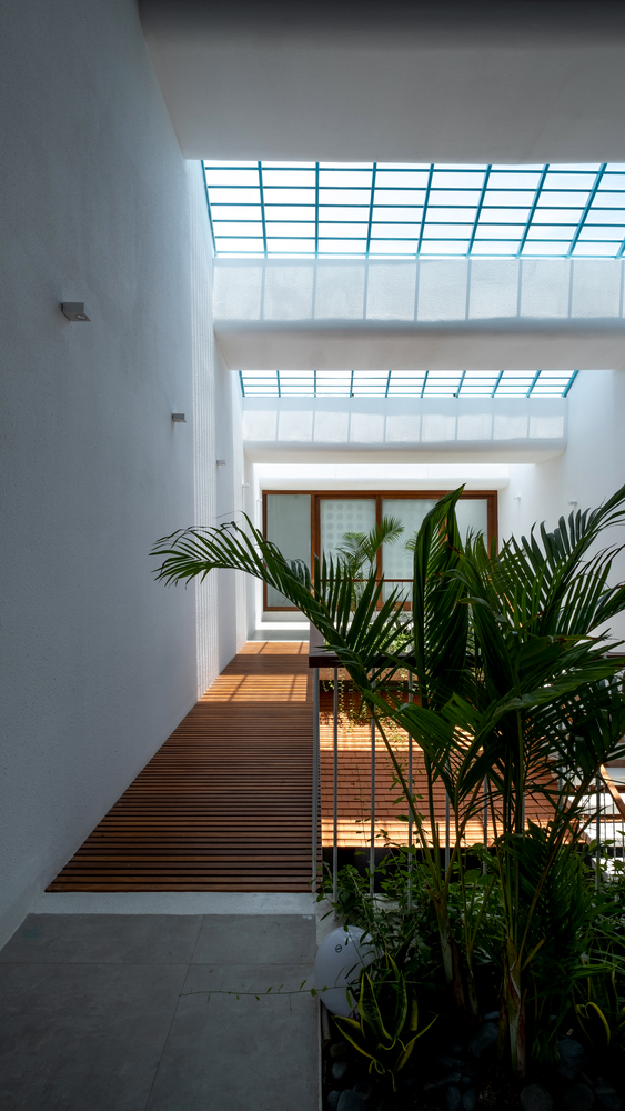 C&acirc;y xanh hiện diện ở mọi ng&oacute;c ng&aacute;ch trong nh&agrave; ống 4 tầng, xua tan vẻ đơn điệu của b&ecirc; t&ocirc;ng hay những bức tường m&agrave;u trắng.